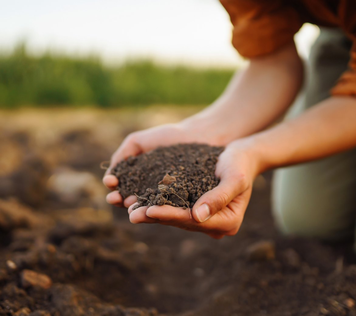 soil and groundwater remediation